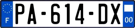 PA-614-DX