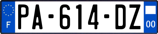 PA-614-DZ