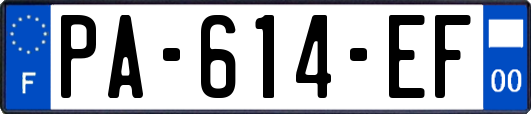PA-614-EF