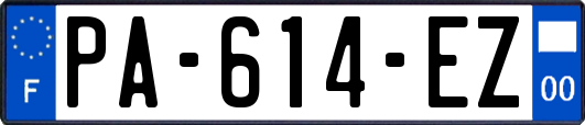 PA-614-EZ