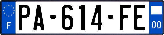 PA-614-FE