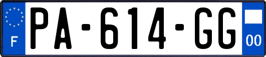 PA-614-GG