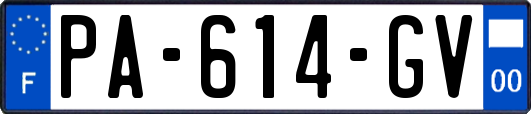 PA-614-GV