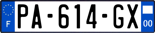 PA-614-GX