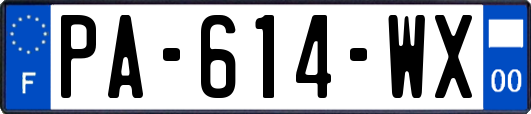 PA-614-WX