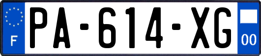 PA-614-XG