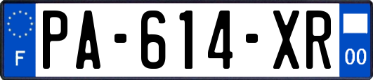 PA-614-XR