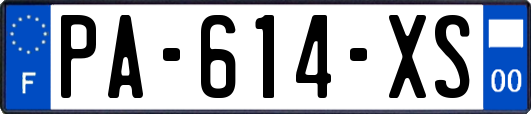 PA-614-XS