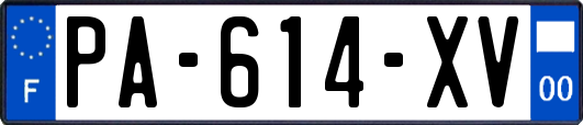 PA-614-XV