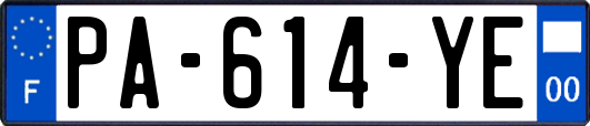 PA-614-YE