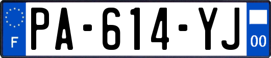PA-614-YJ