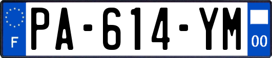 PA-614-YM