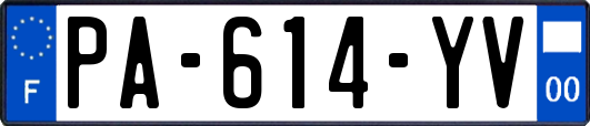 PA-614-YV