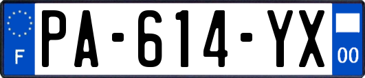 PA-614-YX
