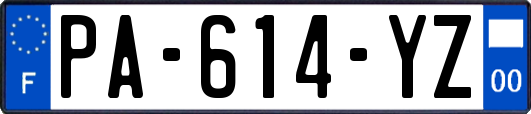 PA-614-YZ