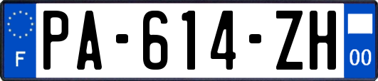 PA-614-ZH