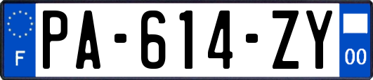 PA-614-ZY