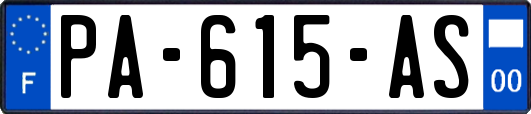 PA-615-AS