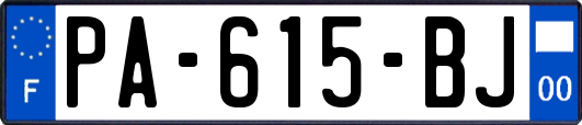 PA-615-BJ