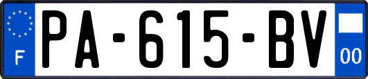 PA-615-BV