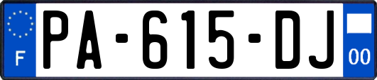 PA-615-DJ