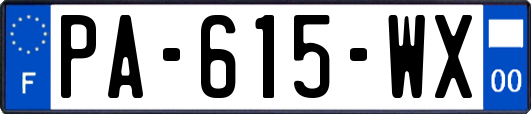 PA-615-WX
