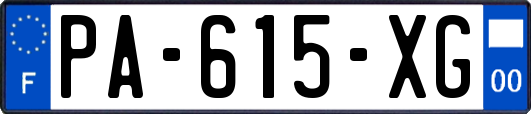 PA-615-XG