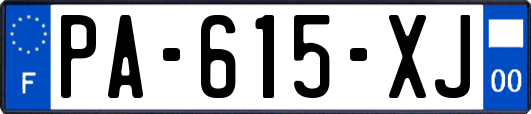 PA-615-XJ