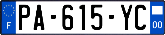 PA-615-YC