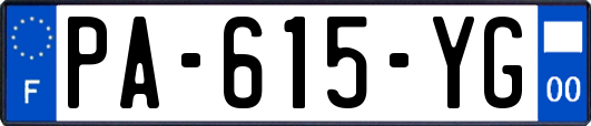 PA-615-YG