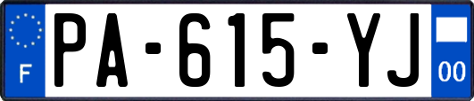 PA-615-YJ