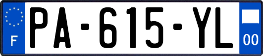 PA-615-YL