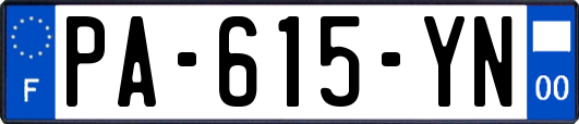 PA-615-YN