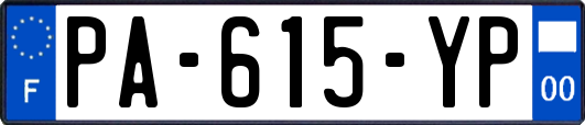 PA-615-YP