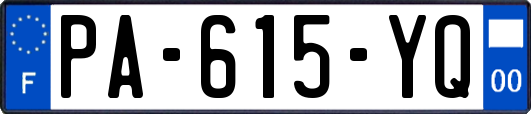 PA-615-YQ