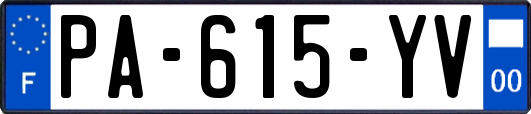 PA-615-YV