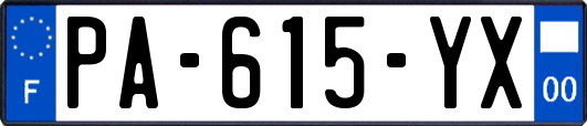 PA-615-YX