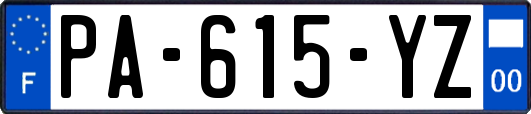 PA-615-YZ