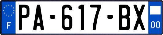 PA-617-BX