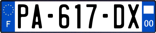 PA-617-DX