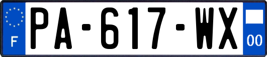 PA-617-WX
