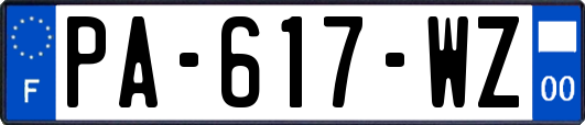 PA-617-WZ