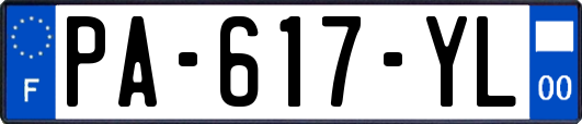 PA-617-YL