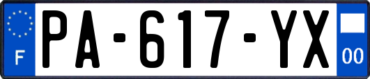 PA-617-YX