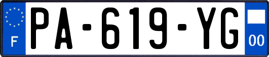 PA-619-YG