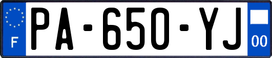 PA-650-YJ