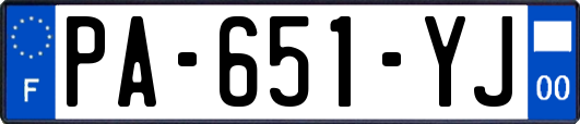 PA-651-YJ