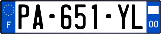 PA-651-YL