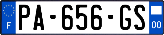 PA-656-GS