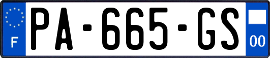 PA-665-GS